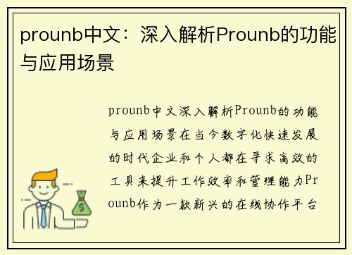 prounb中文：深入解析Prounb的功能与应用场景